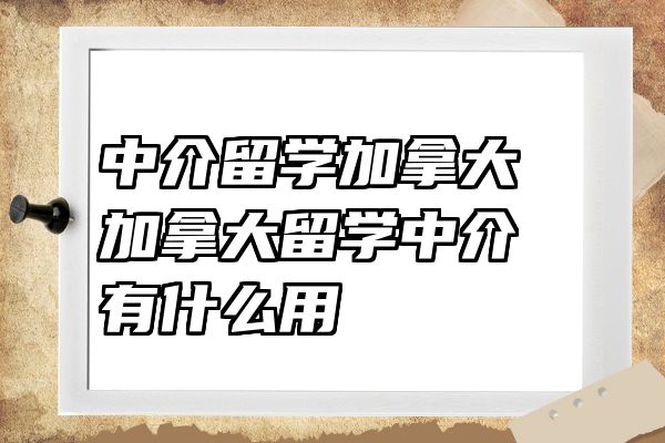 中介留学加拿大 加拿大留学中介有什么用